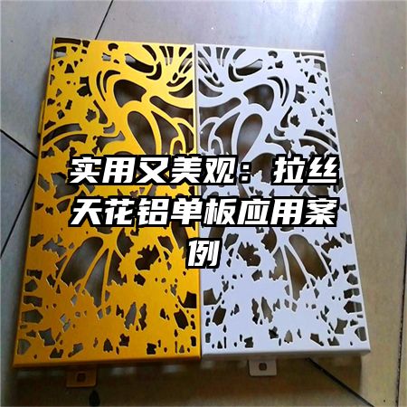 實用又美觀:拉絲天花鋁單板應(yīng)用案例