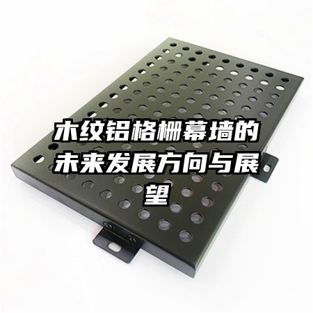 木紋鋁格柵幕墻的未來(lái)發(fā)展方向與展望